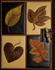 Leaf Quadrants - Thought Wraps